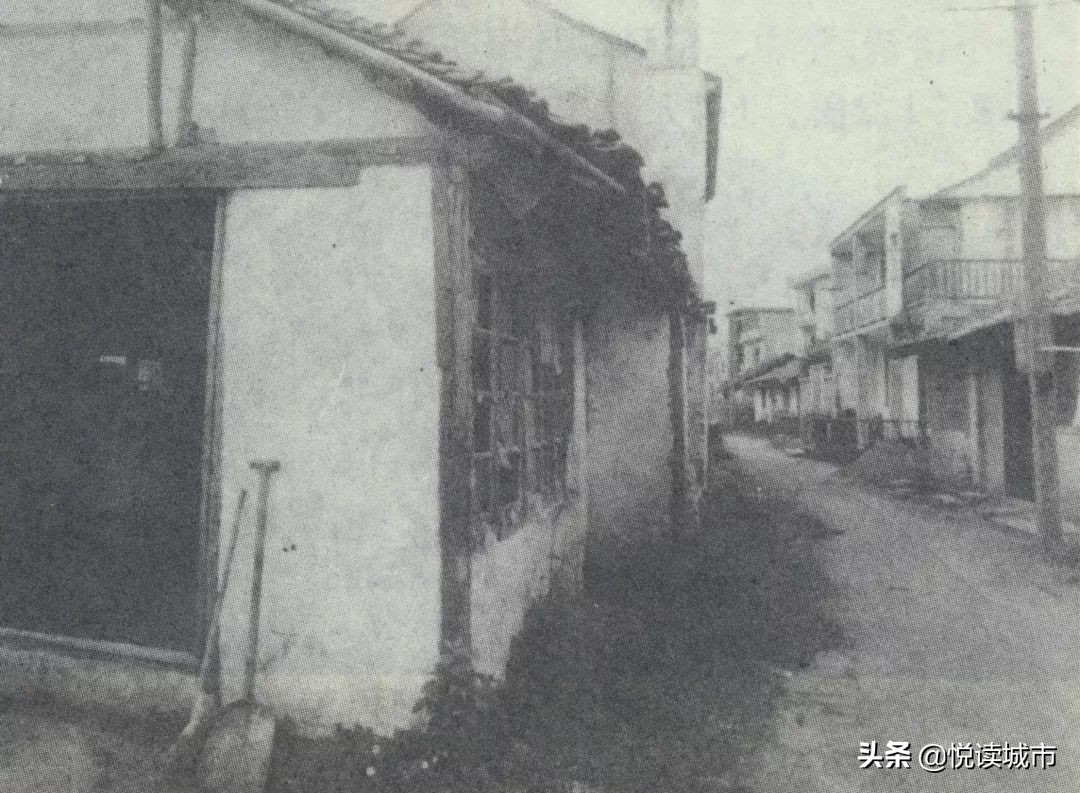 金秋赏“金”：新老照片对比金山发展老金山都不一定认得全