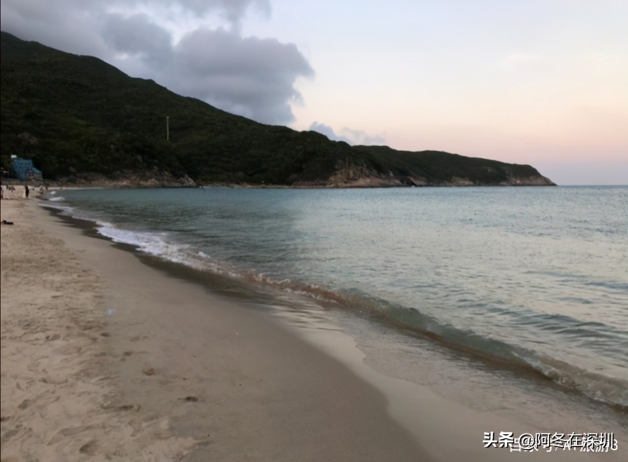 深圳一日游必去的十个免费景点,深圳一日游必去十大网红景点