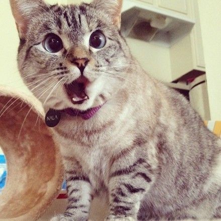 理发店治疗卵巢早衰、前列腺增生！我的下巴快掉下来了