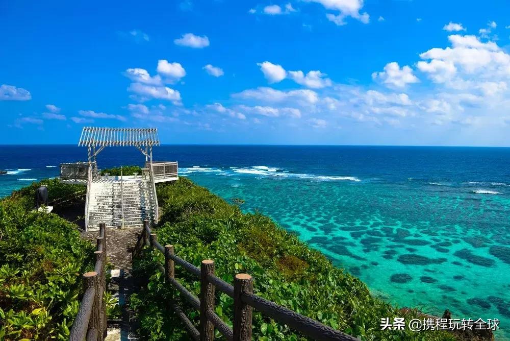 冲绳2月看樱花,冲绳哪里看樱花