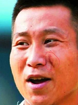 徐良回忆往事完整视频,徐亮的历史生涯