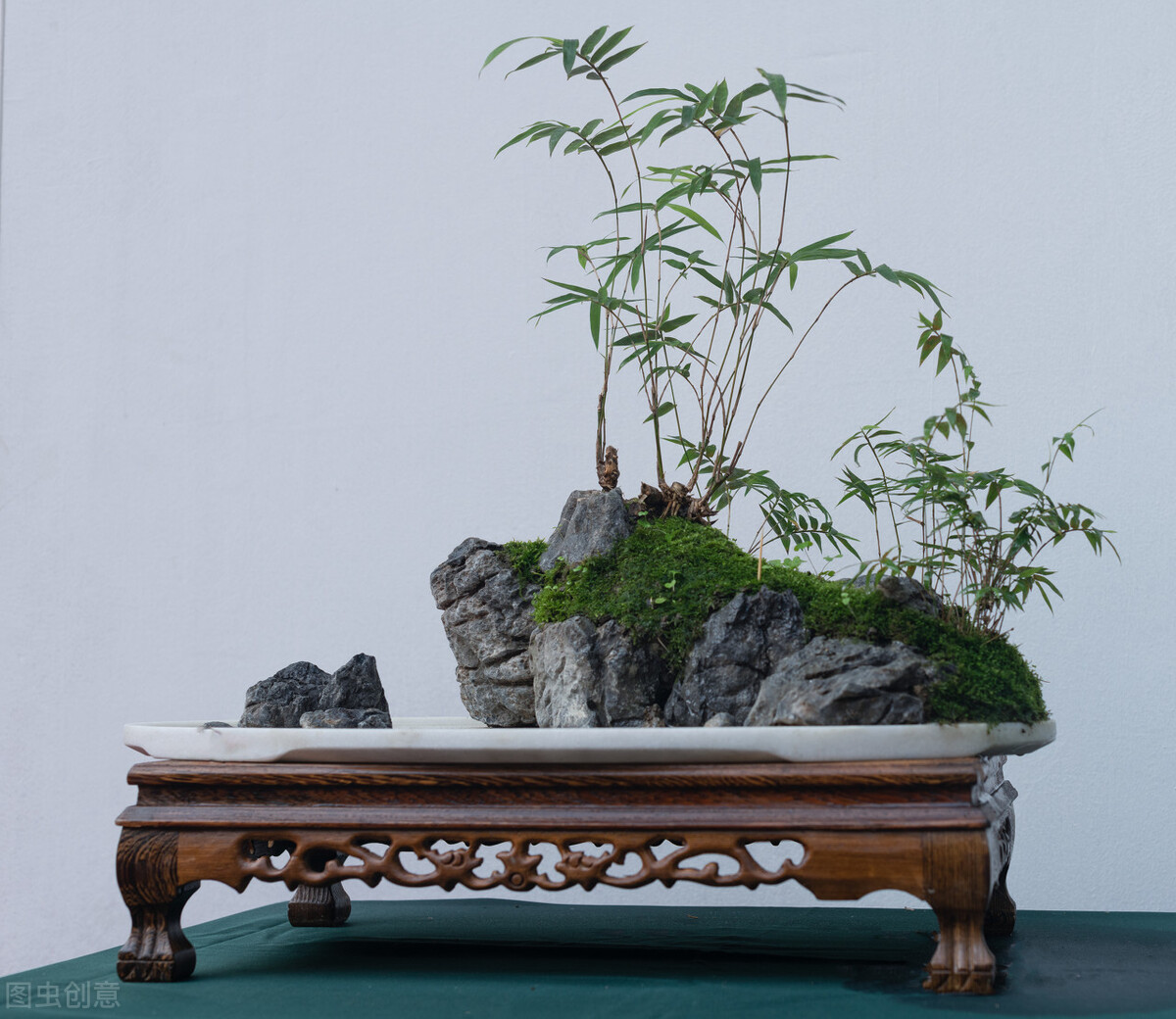 养花越用心好像越成为负担,养花赚钱的方法