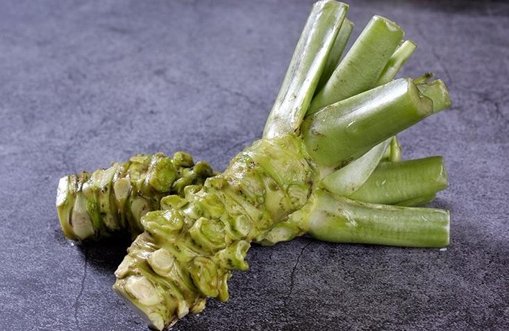 芥末为什么是黄的,芥末为什么变成黄色了