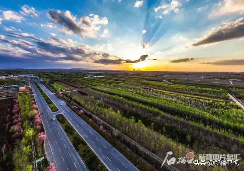 快上车视频全集,快上车完整版视频