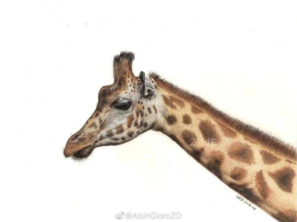 90后小伙用笔画画,九零后小伙靠画肖像漫画走红网络