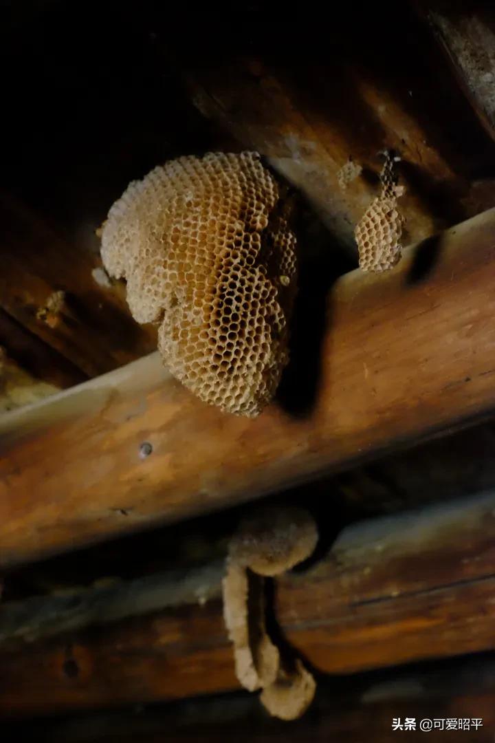 贺州昭平长寿之乡,昭平县百年炮楼图片