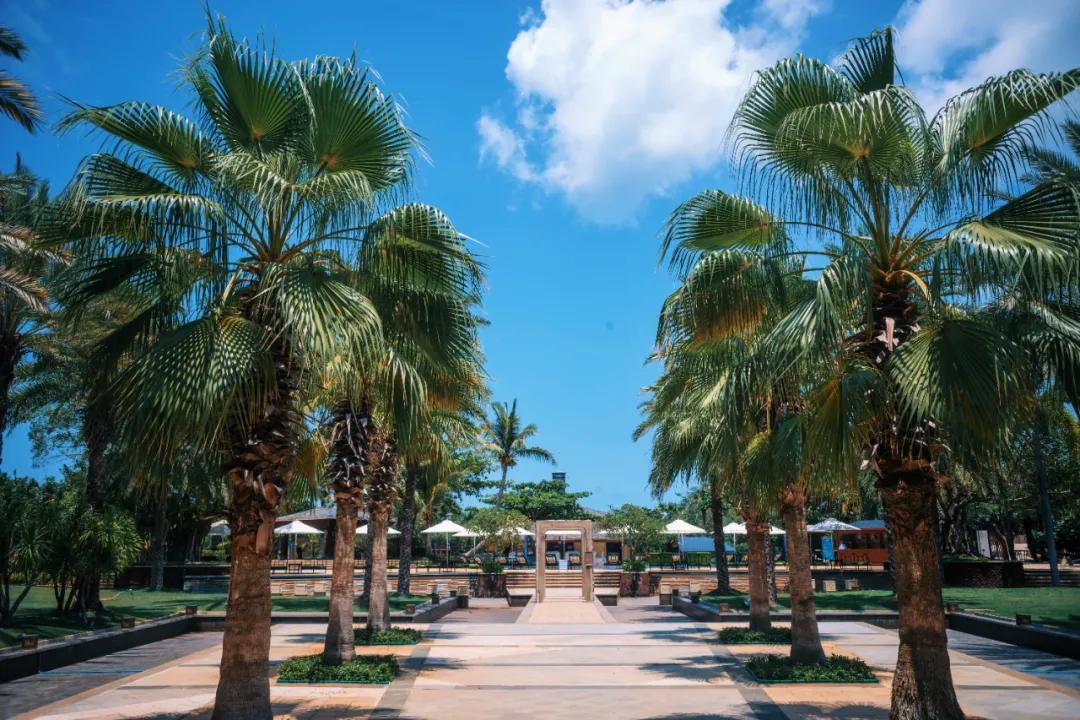 三亚海棠湾开维费尔蒙,三亚开维费尔蒙