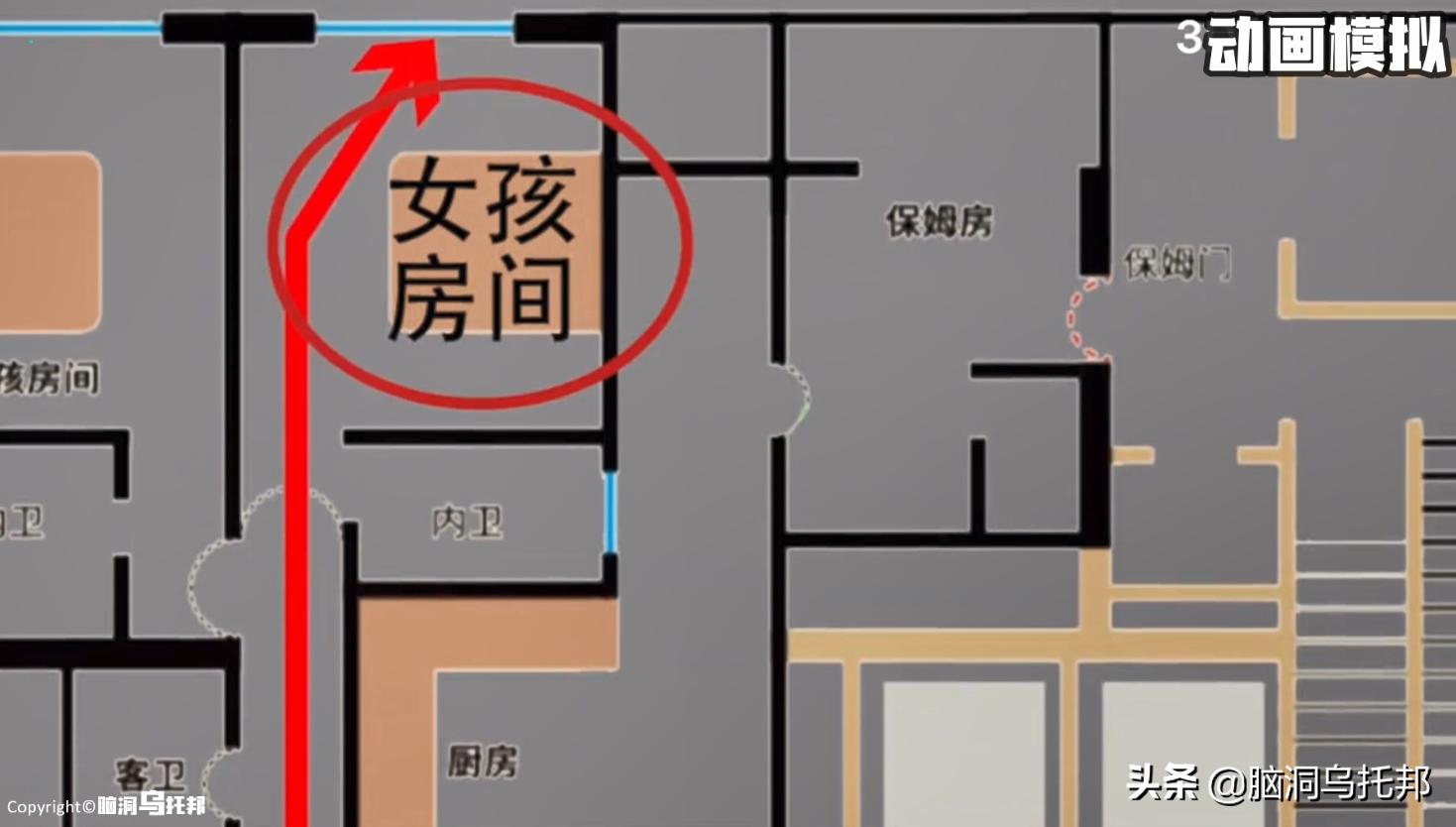 林生斌各大网红发声,林生斌网红发声