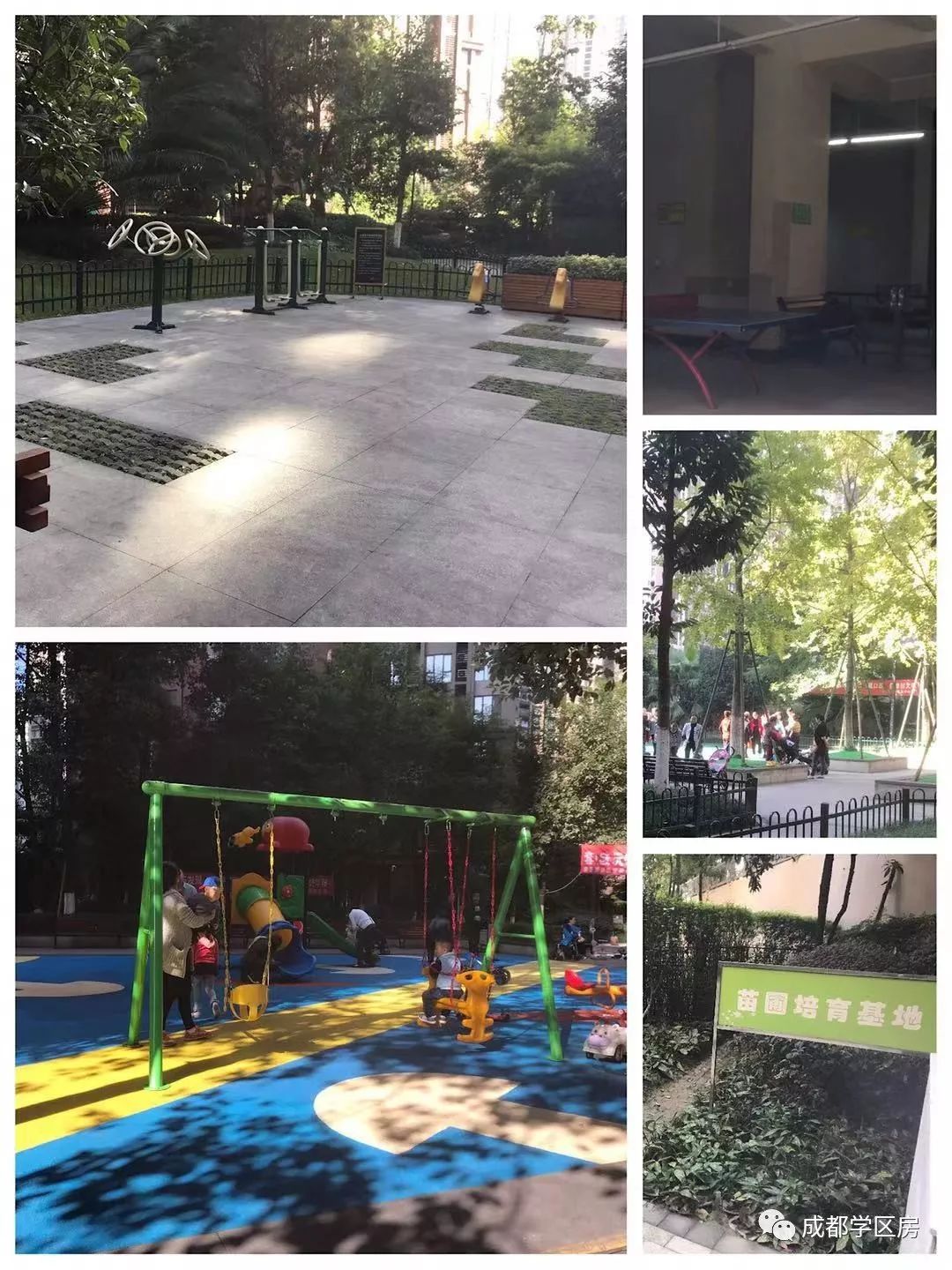 天府新区第五小学排名,天府新区a区学区房