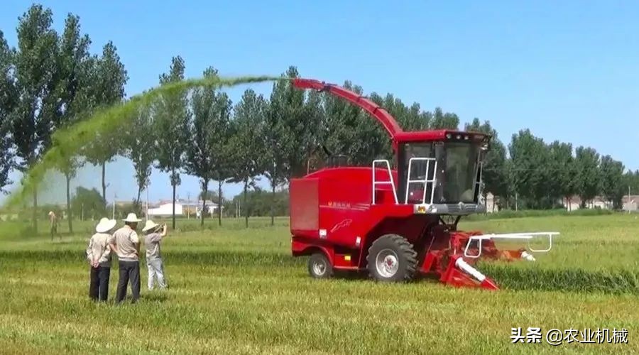 勇猛机械专注玉米收获,勇猛二行玉米收获机多少一台