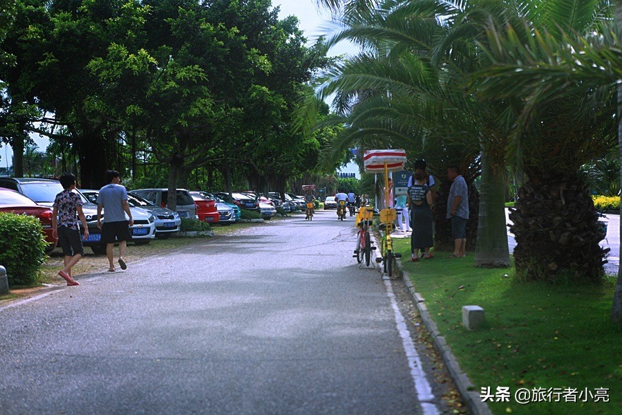 福建厦门十大旅游景点,福建厦门旅游十大必去景区
