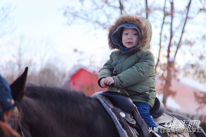 雪国和冰雪,雪国旅游
