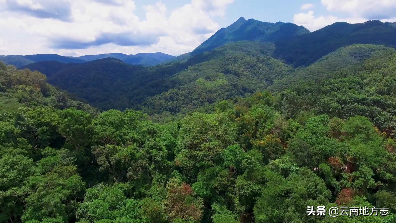 缇庡搲浜戝崡鍏ㄩ儴瑙嗛,缇庡搲浜戝崡鍓х収
