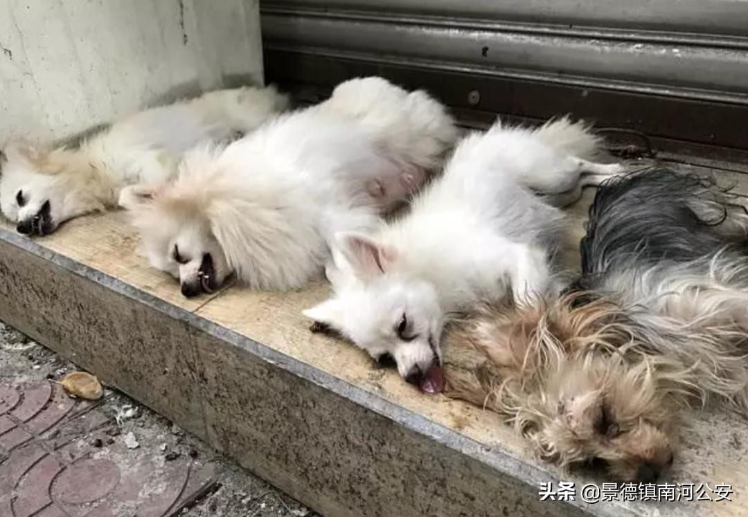 “割声带、截肢、电击,当爱变成我的噩梦”