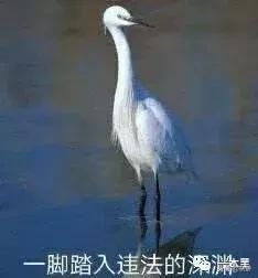 去网吧吃个鸡,结果走进了违法广告的天堂