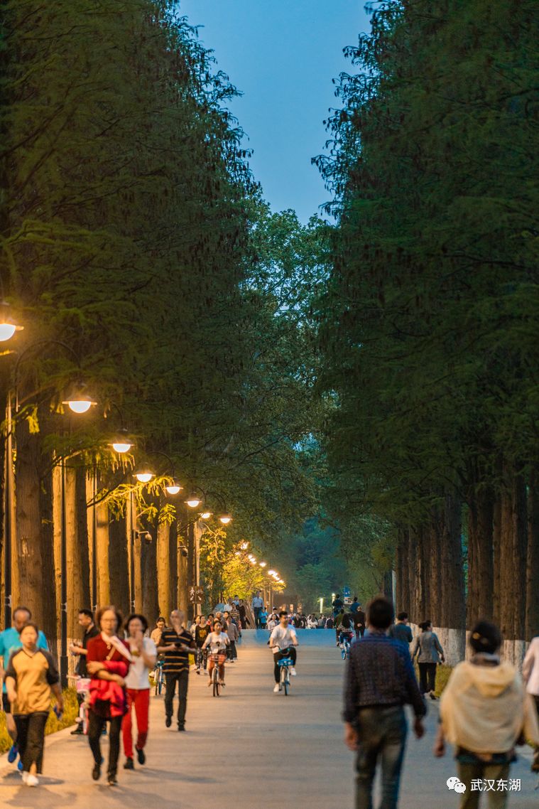 收好这份最全本州攻略,武汉东湖风景区1月份攻略