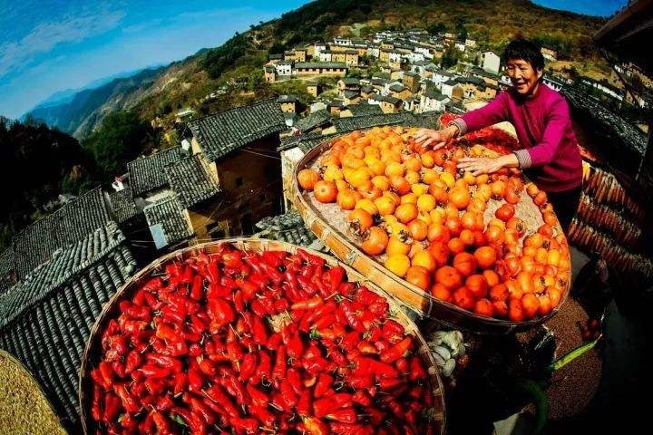 文房四宝产地歙县~盆景徽剧之乡~高山土楼梯田
