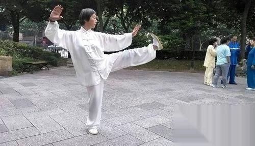 血糖高吃什么主食能把血糖降下来,血糖高吃什么中药能把血糖降下来