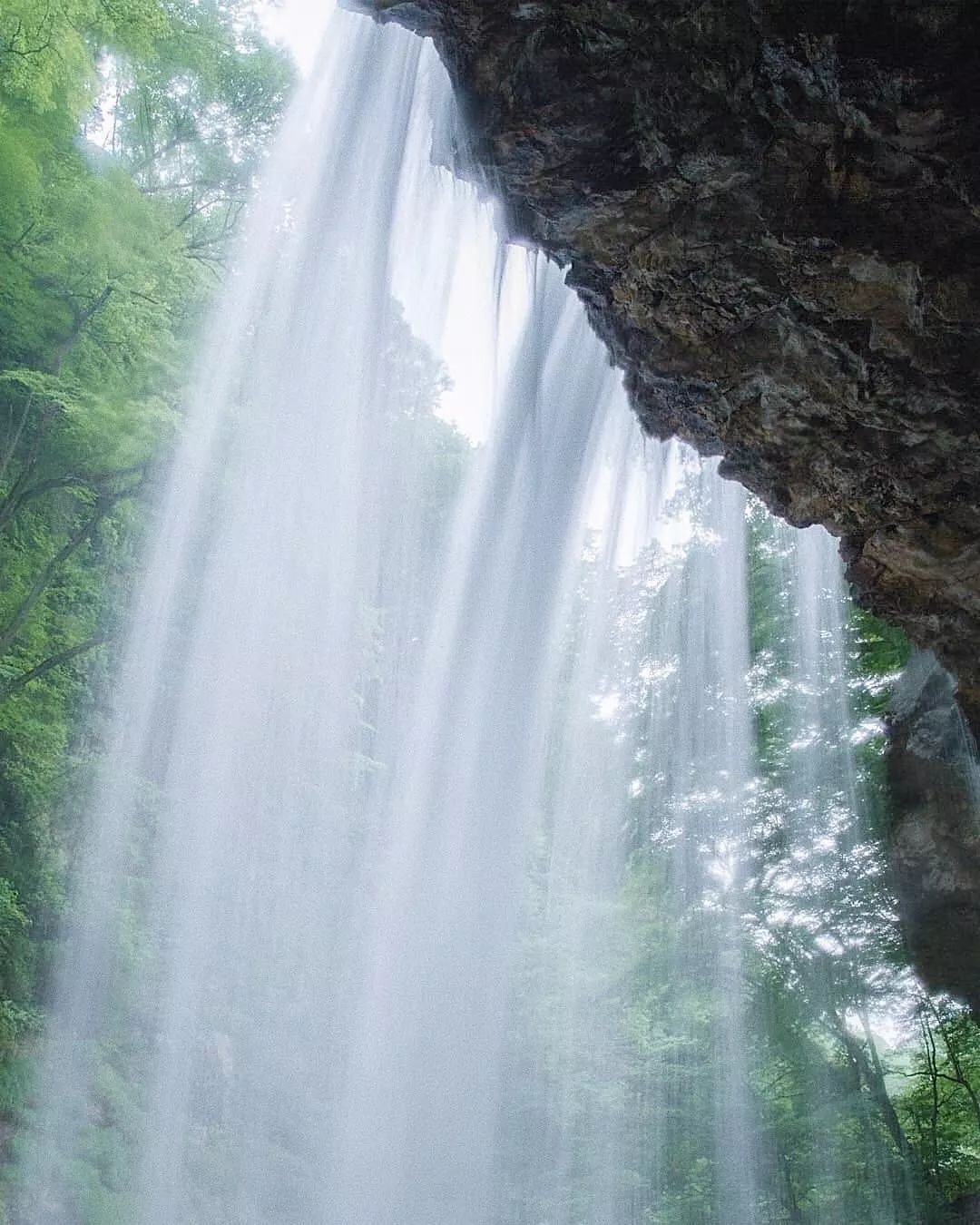 日本长野县旅行,日本长野赏樱旅游攻略