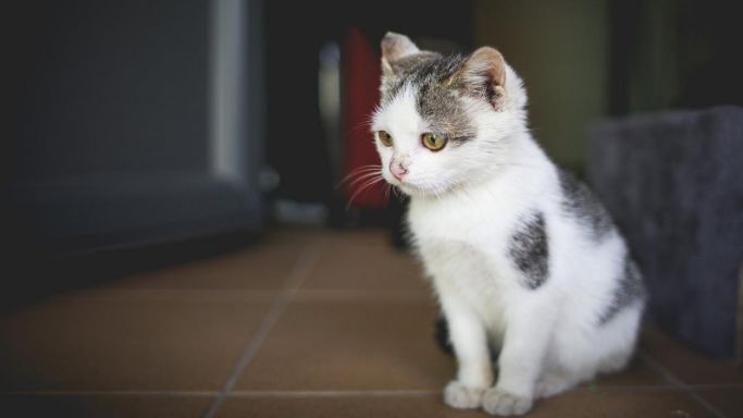 炒股10多年来我的感悟,炒股10年15条投资感悟