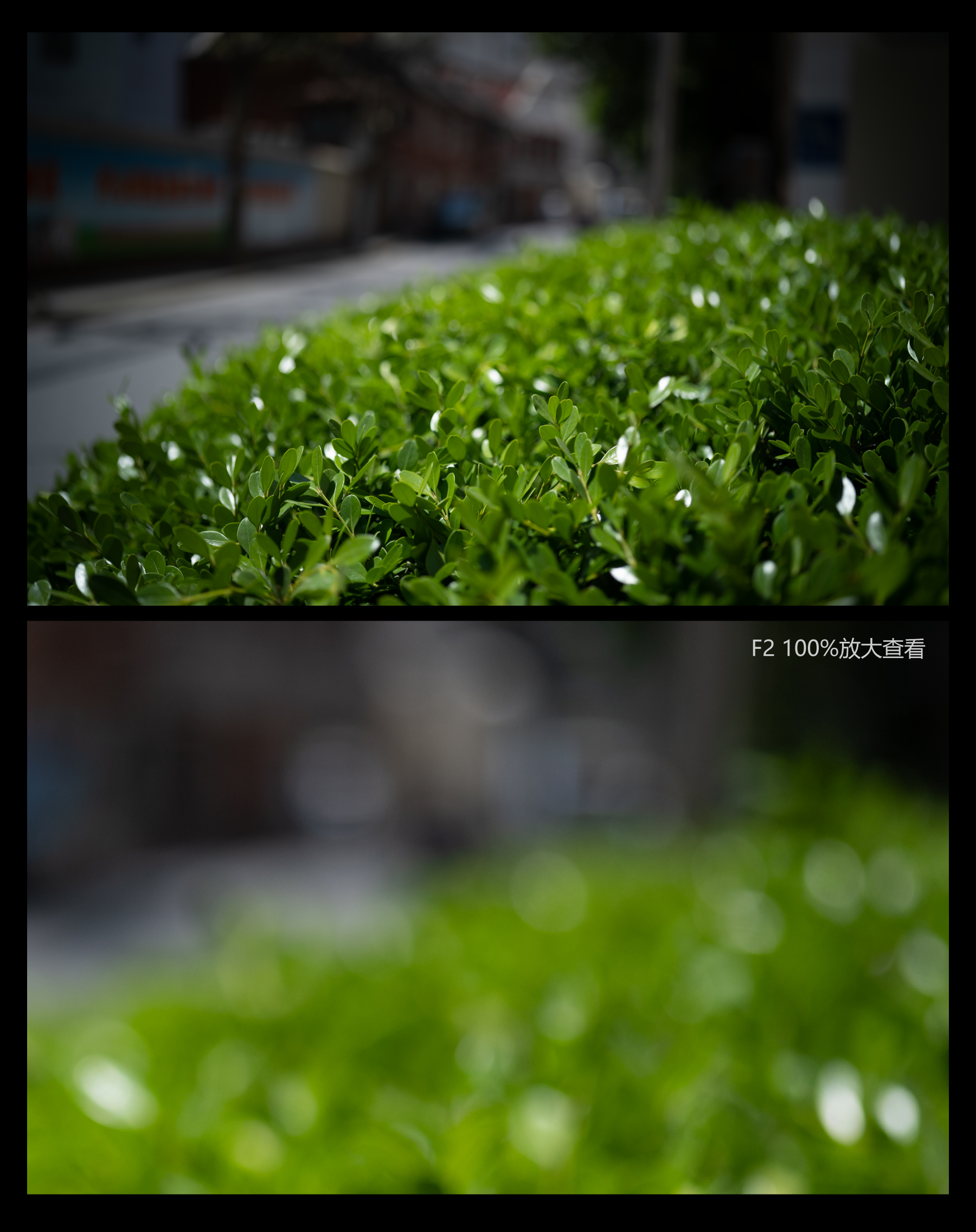 福伦达35mm1.5镜头好不好,福伦达35f2镜头评测