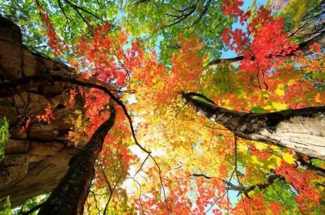 沈阳冬季一日游最佳去处,沈阳本溪自驾看枫叶去哪里
