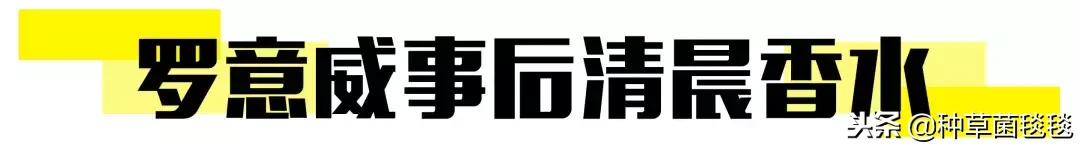 圣诞美颜好强大,圣诞超级套装大全