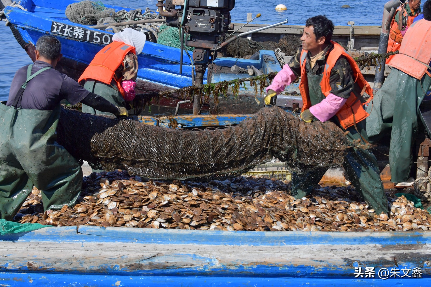 獐子岛海鲜品质是全国最好吗,獐子岛海鲜有什么