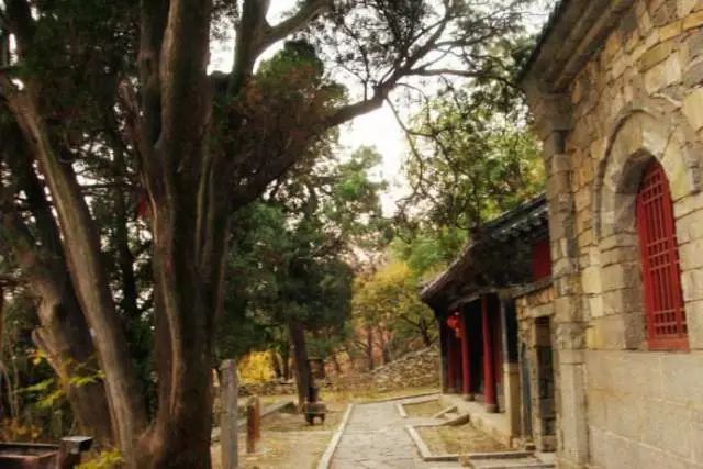 泰山三阳观全景视频,泰山三阳观风景区