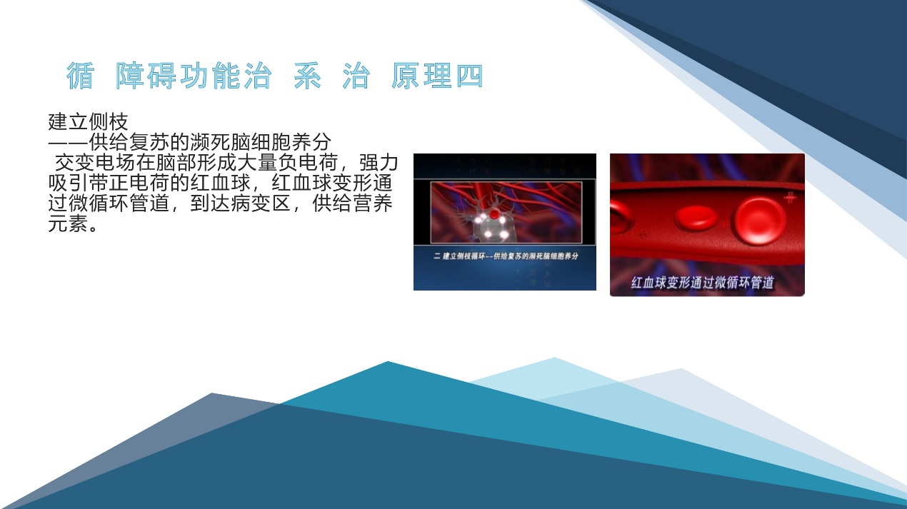 河南助康,抑康脑循环治疗仪多少钱一台