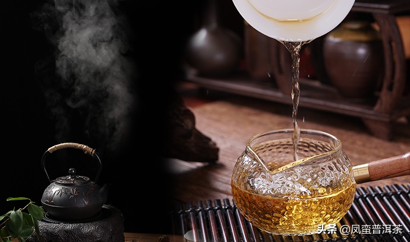 普洱茶名品品鉴,普洱茶品鉴与观赏性