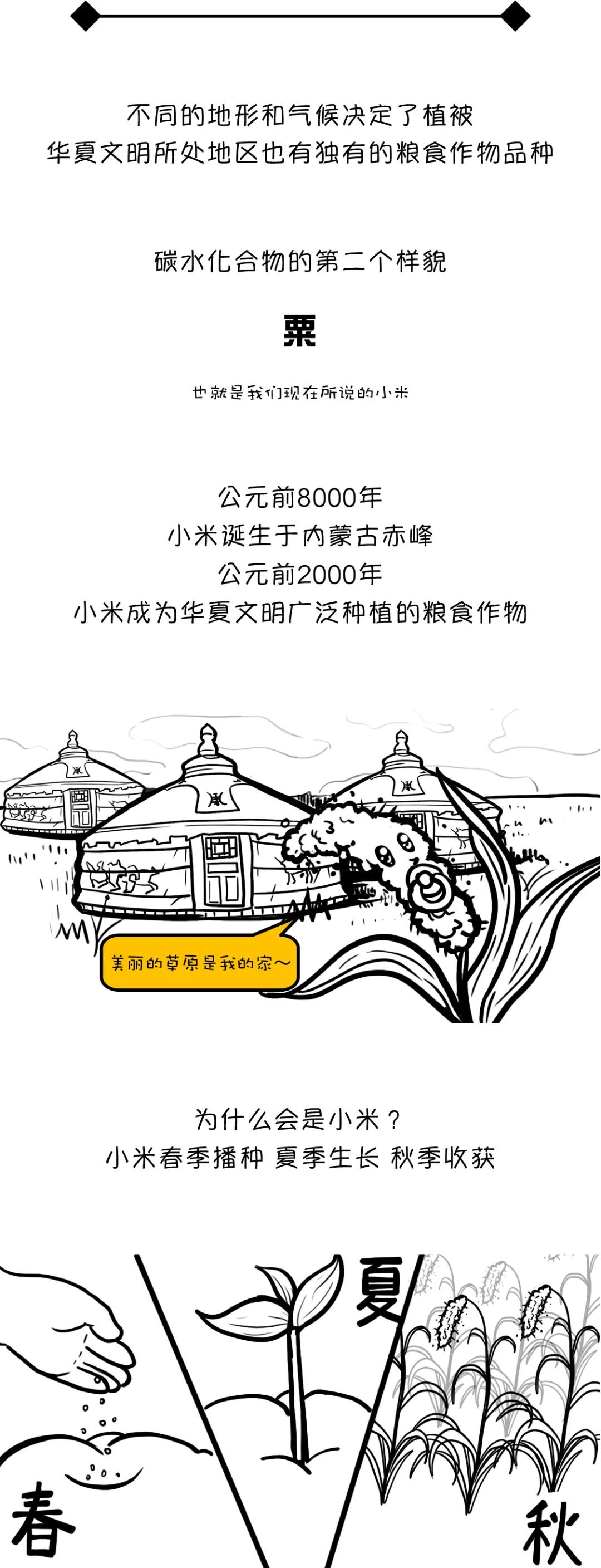 漫画食物简史有阅读价值吗,漫画食物简史漫画书