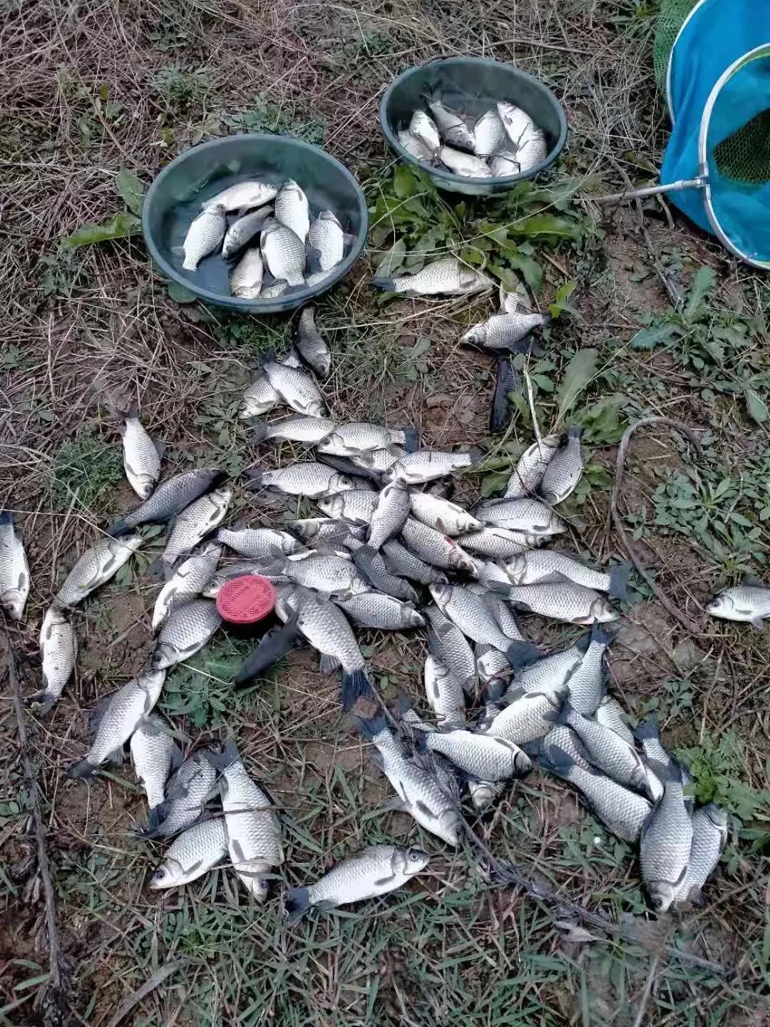 2019丹江禁渔期可以钓鱼么,2022年丹江钓鱼禁渔期