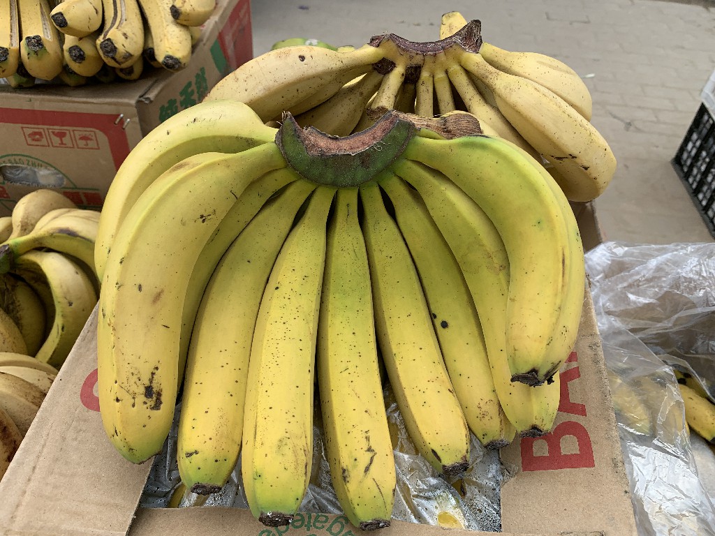 买香蕉买大的好还是小的好,买香蕉时挑直的还是弯的老果农