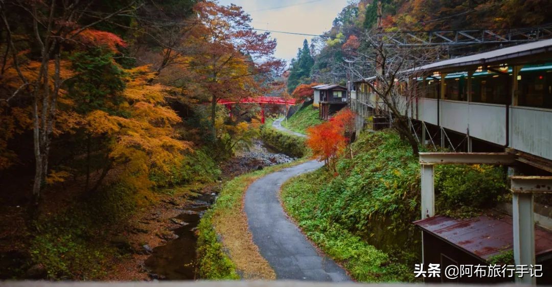 日本熊野古道拍摄,摄影师镜头下的景区