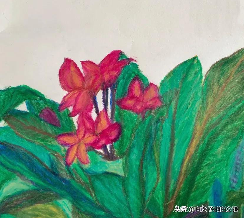 花香袭人抖音,花香袭人电影免费观看