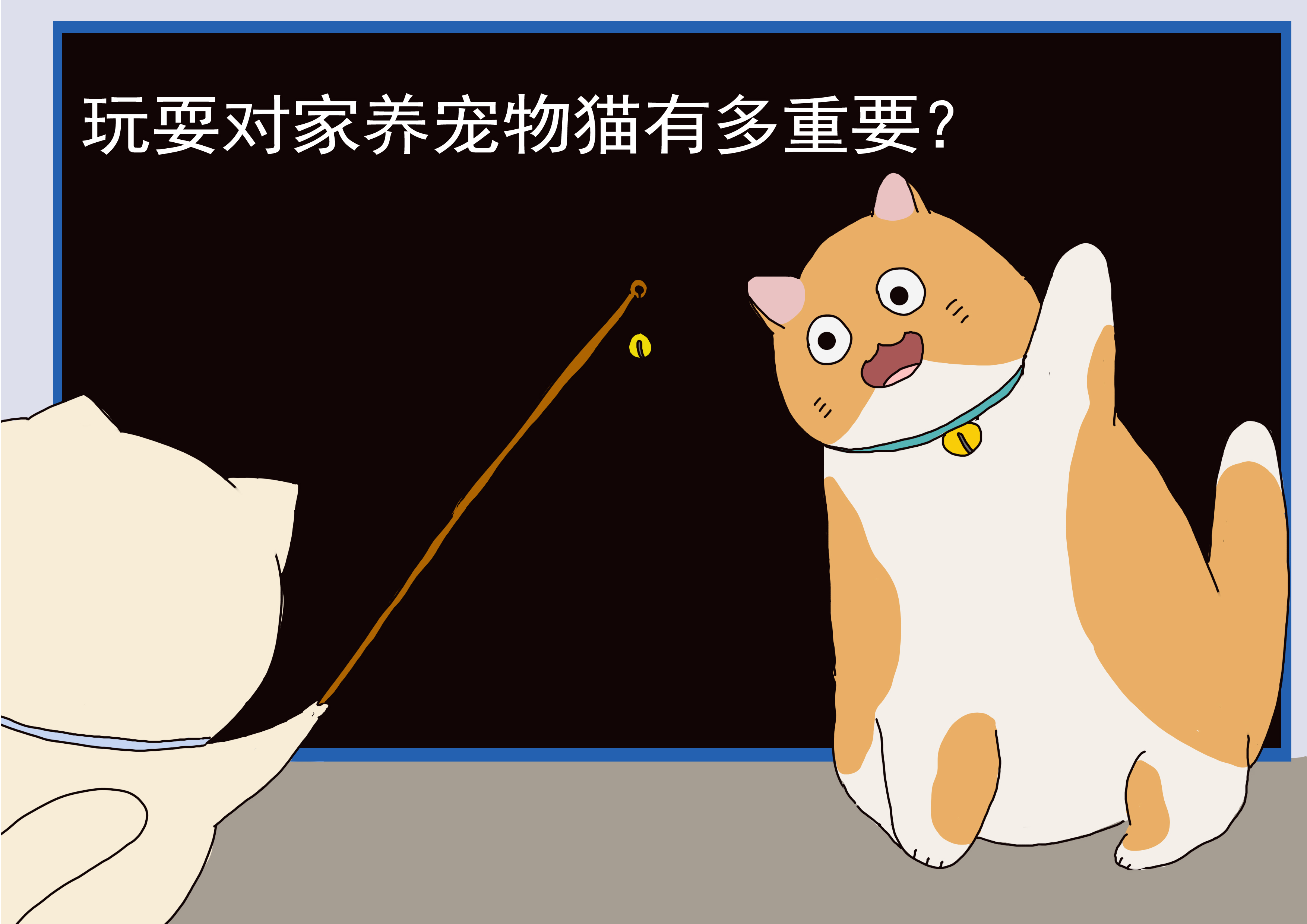 对猫有利的3种玩耍方式,对猫有益处的食物