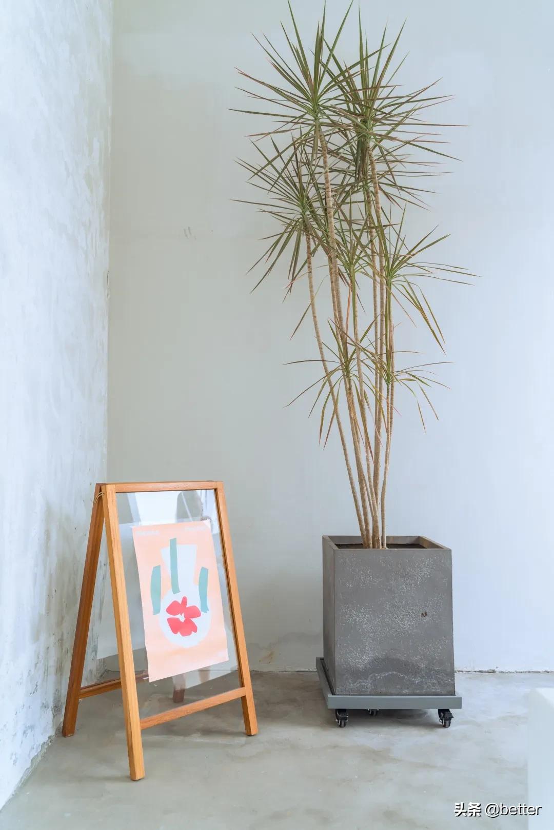 为了发条九宫格朋友圈，我花了330块钱还差点逼疯一个摄影师