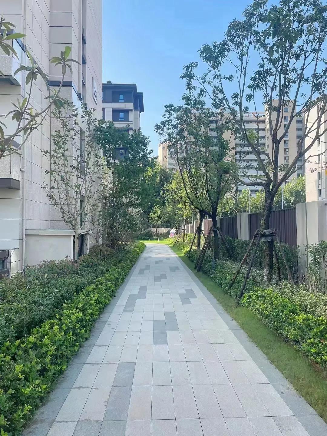 合肥十大平层楼盘排行榜,合肥前十名3室100万首付新楼盘