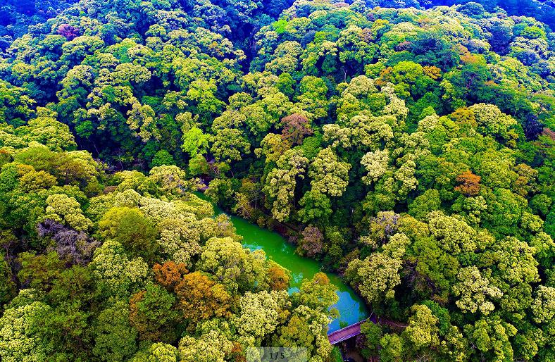 中国绿都最氧三明,中国绿都最氧三明春回大地