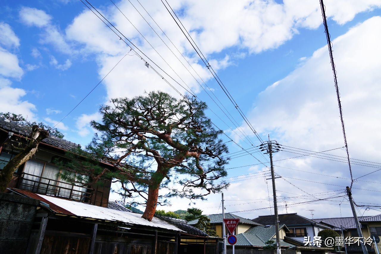 京都一眼千年的美景,京都永恒的美
