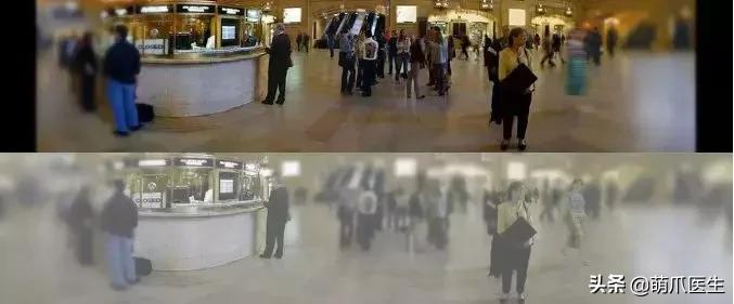 这猫睡姿也太销魂了,猫睡相