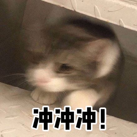 kiko买到假货,kiko新品欣赏