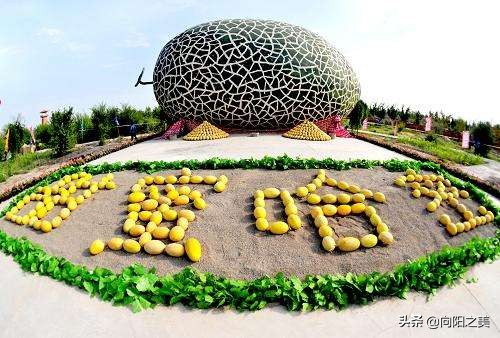 新疆哈密哪里房价便宜,新疆哈密最便宜的房子在哪