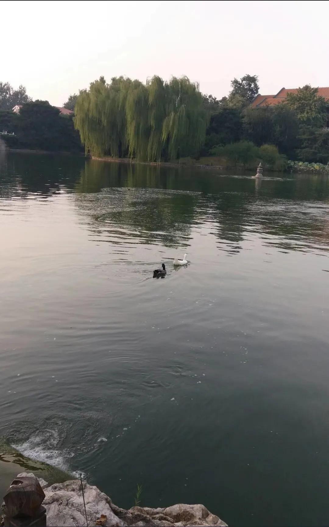 北京钓鱼台国宾馆：是中国国家领导人进行外事活动的重要场所