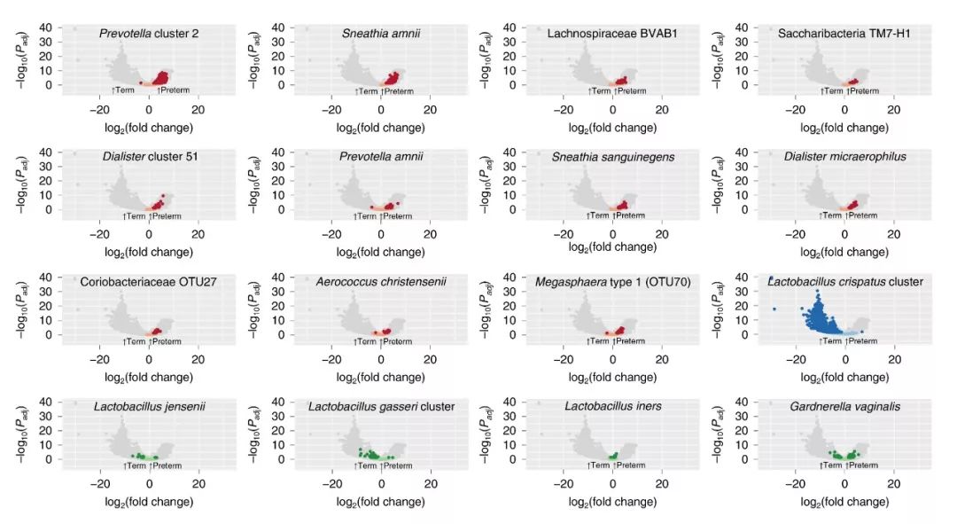 iHMP第二弹|阴道微生物与早产