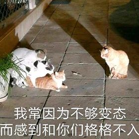 早上好真实会动的动态表情包,当代年轻人的真实现状表情包