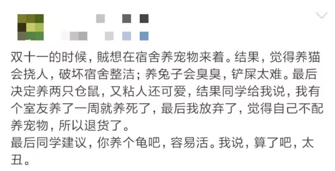 那些年舍友养过的奇葩宠物,你们身边的人都养什么奇怪的宠物