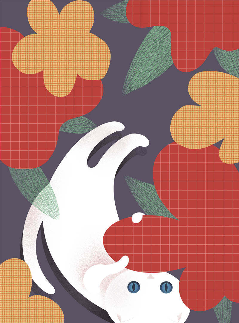 在喵咪数量超过狗狗的日本,一位旅日作家如何探寻日本文学与猫的渊源?