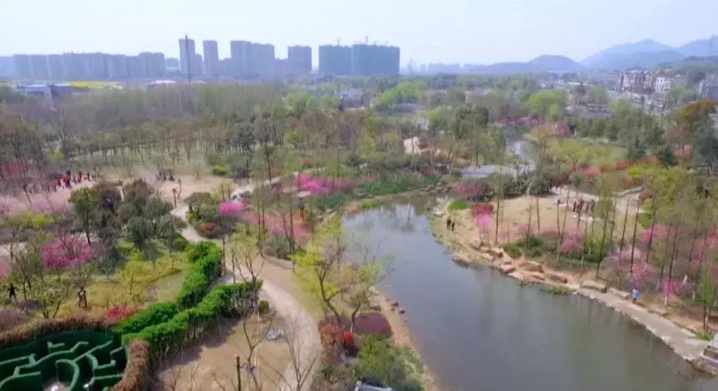 皋亭山美食,皋亭山里面美食